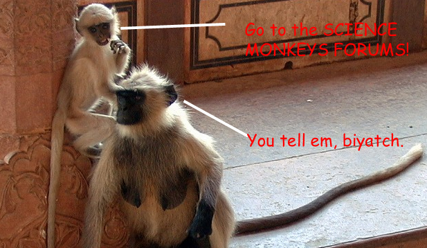 You heard the monkey!